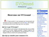 Image du site svground.fr