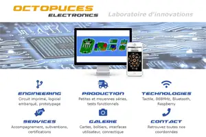 Image du site octopuces.com